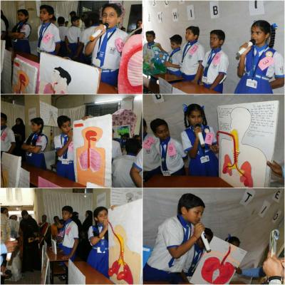 82e15e38 Fd82 496c 9f76 F289bb4de034